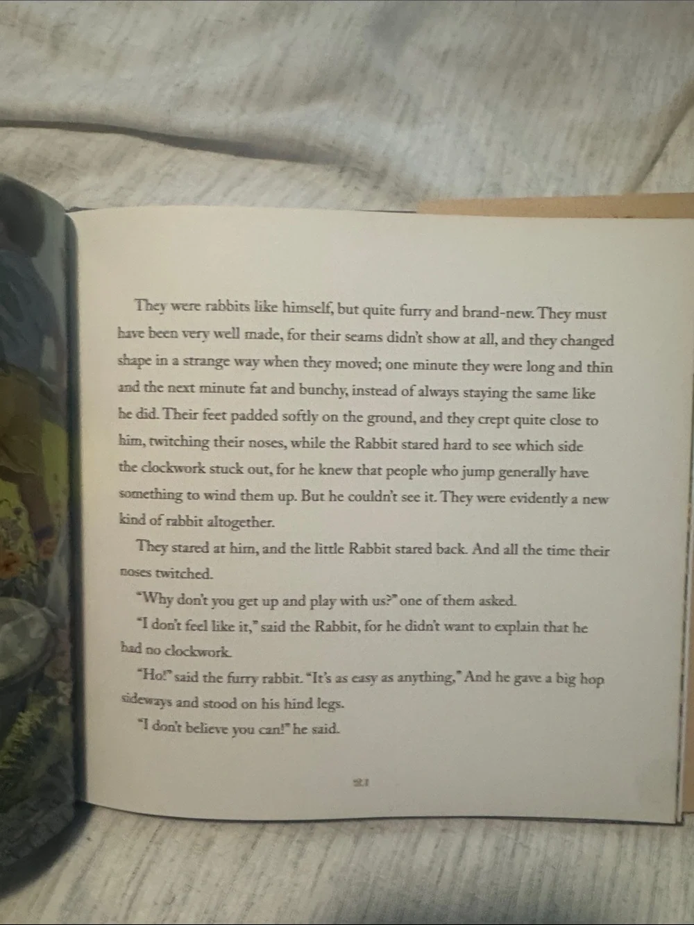 N/A velveteen rabbit